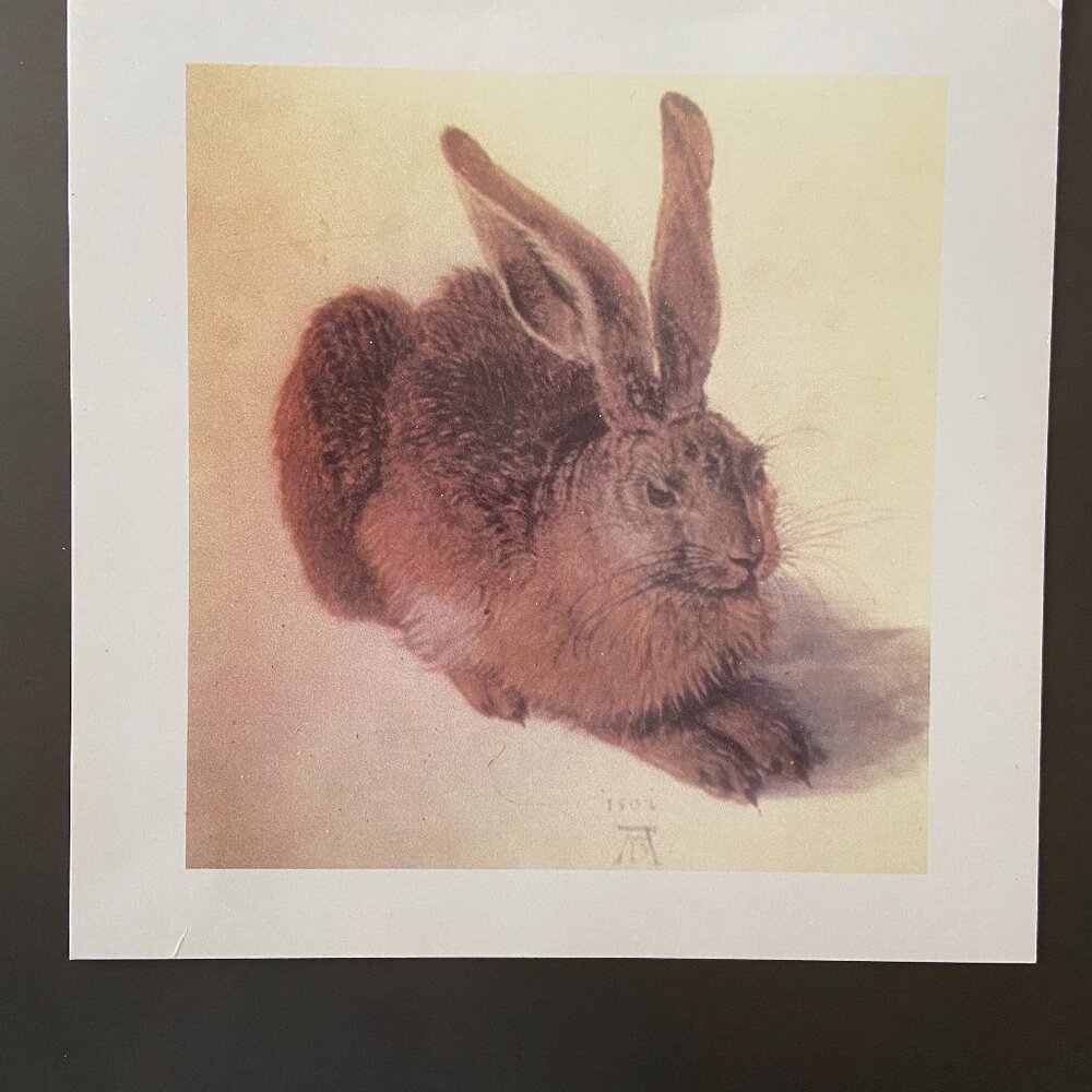 Albrecht Durer, Rabbit Art, Rabbit Print - Picture 3 of 6